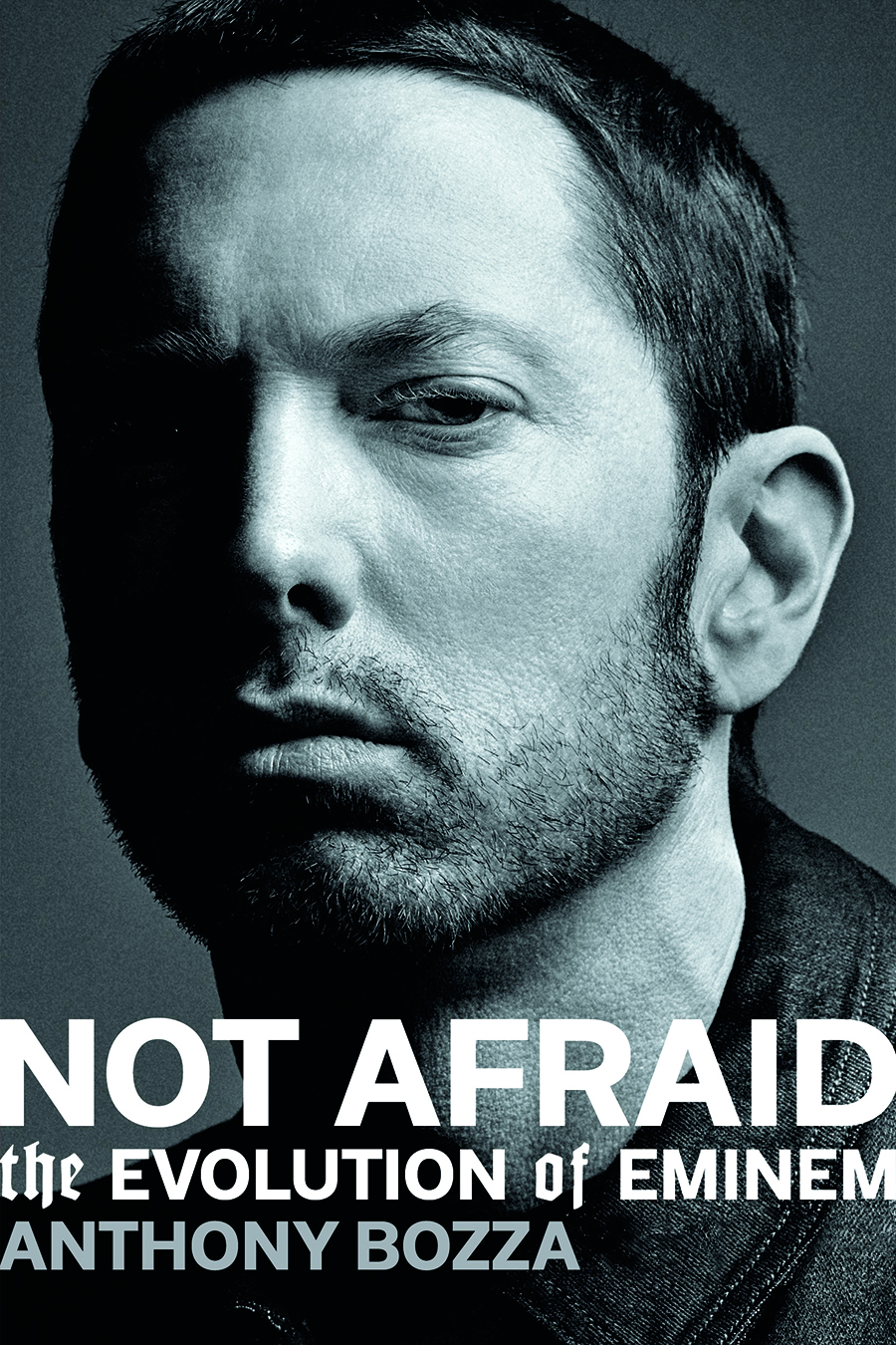 Not Afraid: The Evolution of Eminem