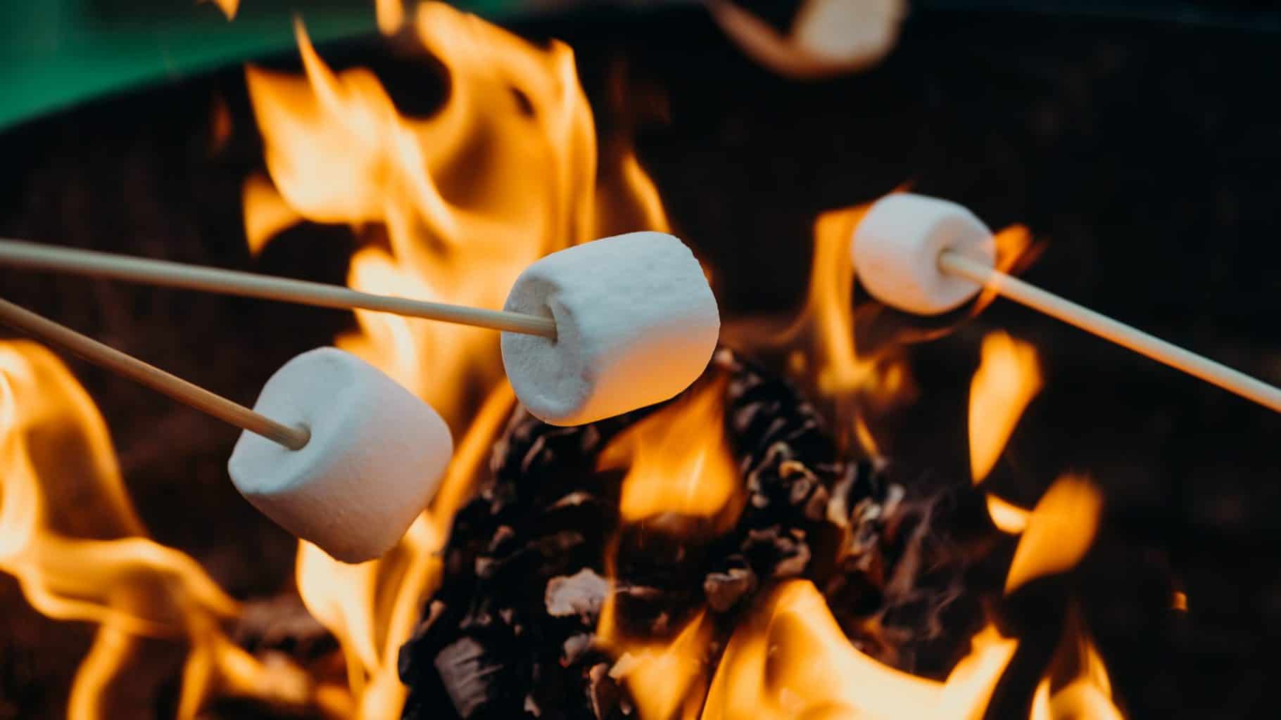 Marshmallows being roasted on sticks