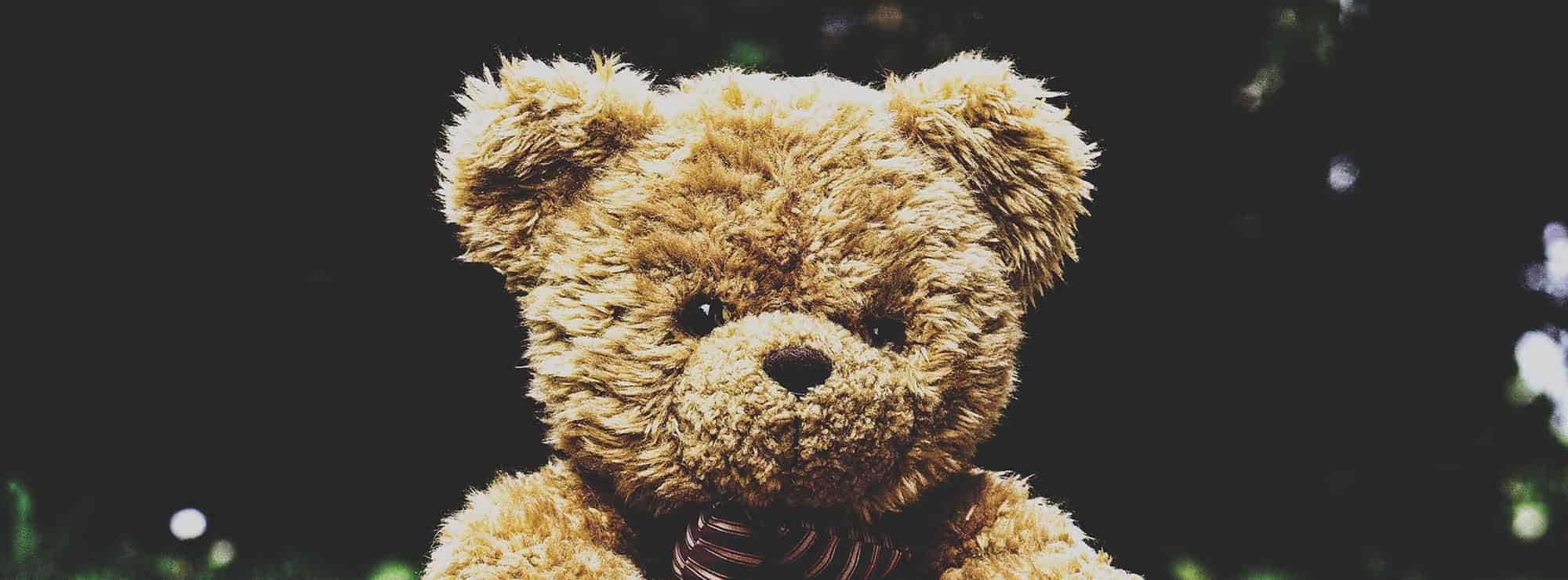 close up of a classic teddy bear