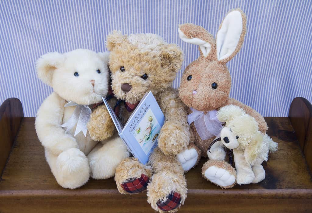 stuffed animals looking at a book