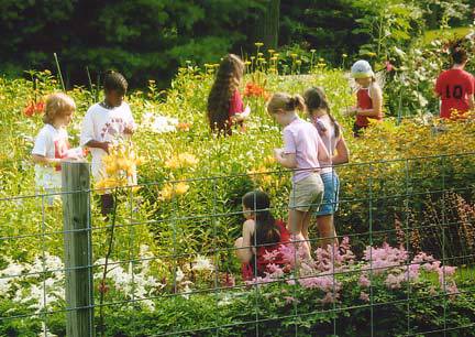 Nature Tour