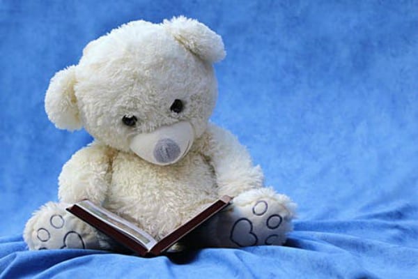 Teddy bear reading a book