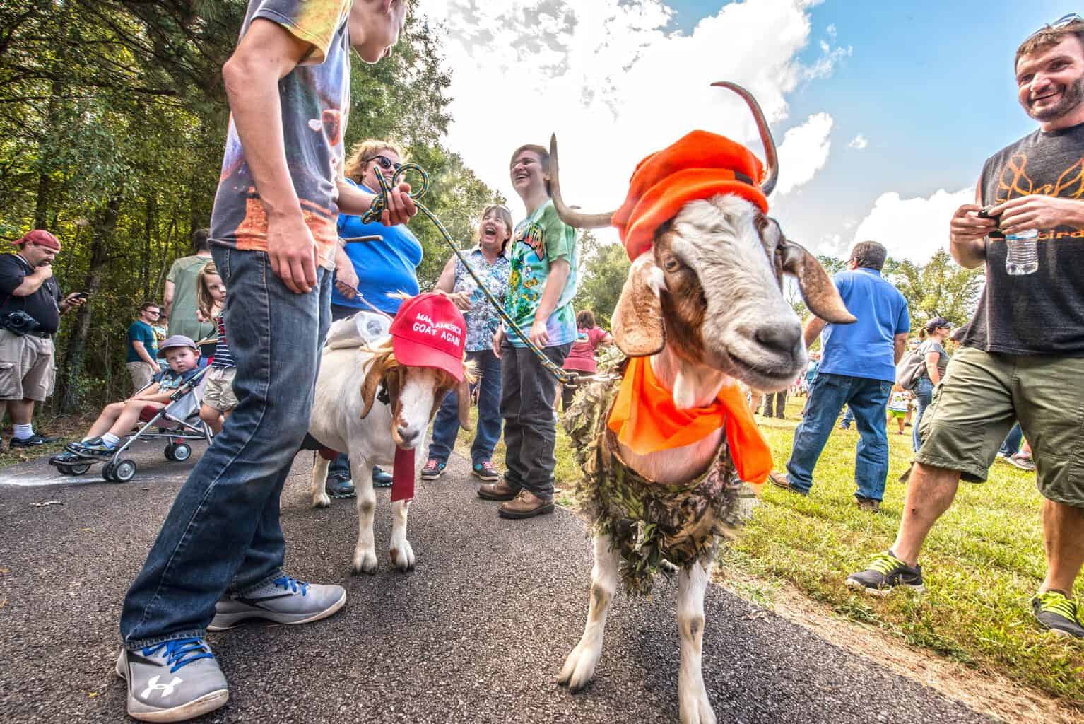 Get Your Goat On! Central Arkansas Library System