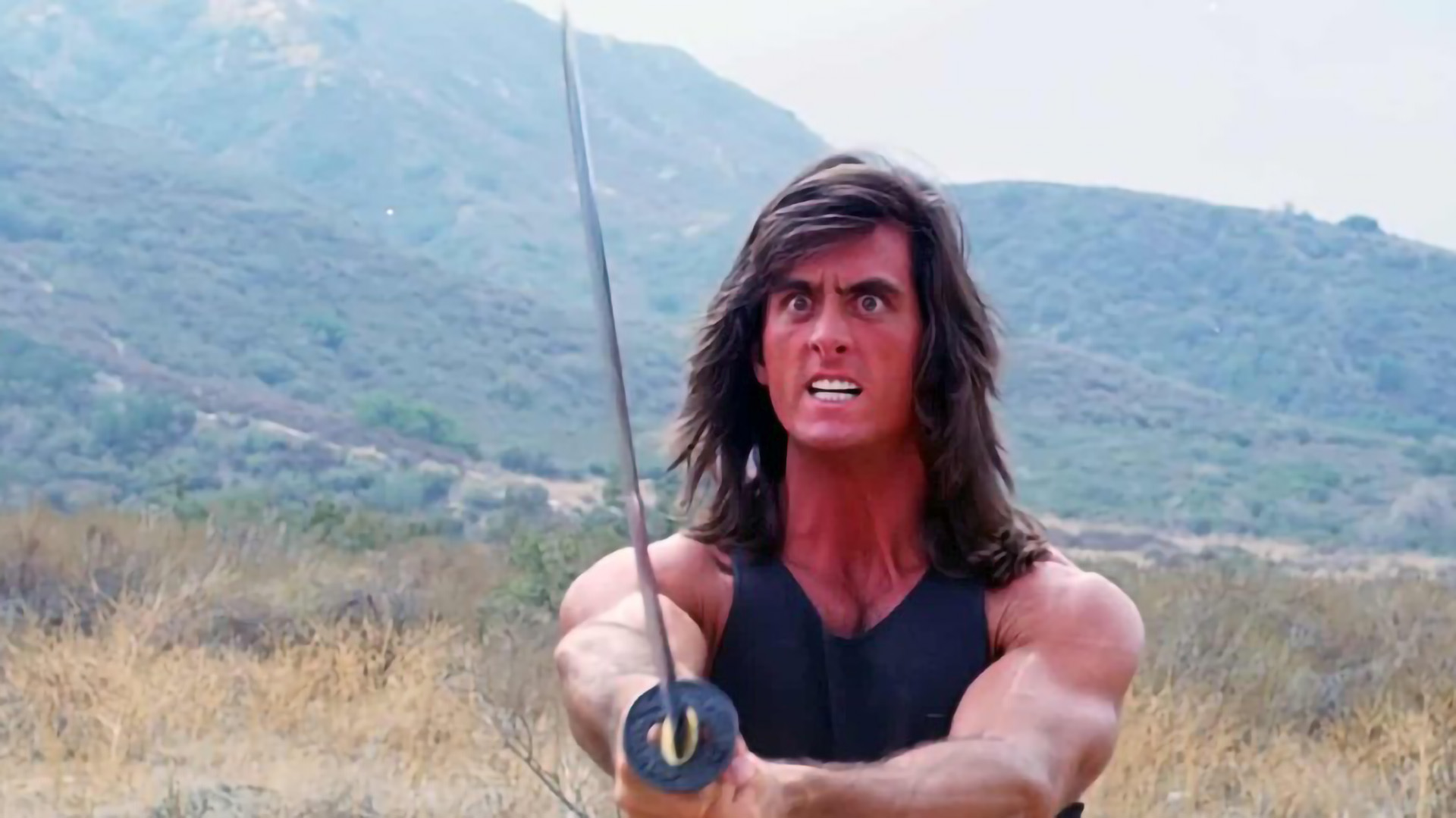 Samurai Cop Razgledano