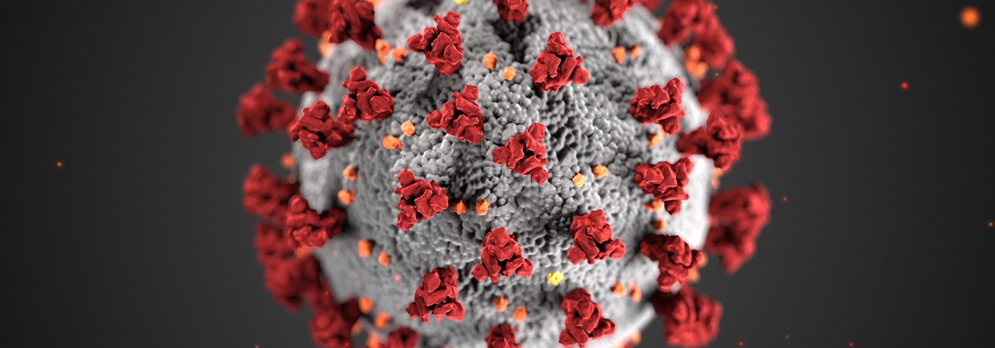 a digital representation of a covid cell