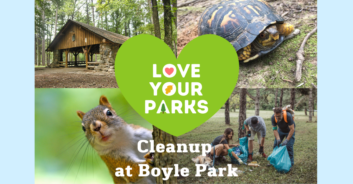 love your parks collage image