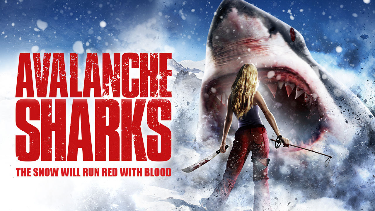 avalanche sharks media image
