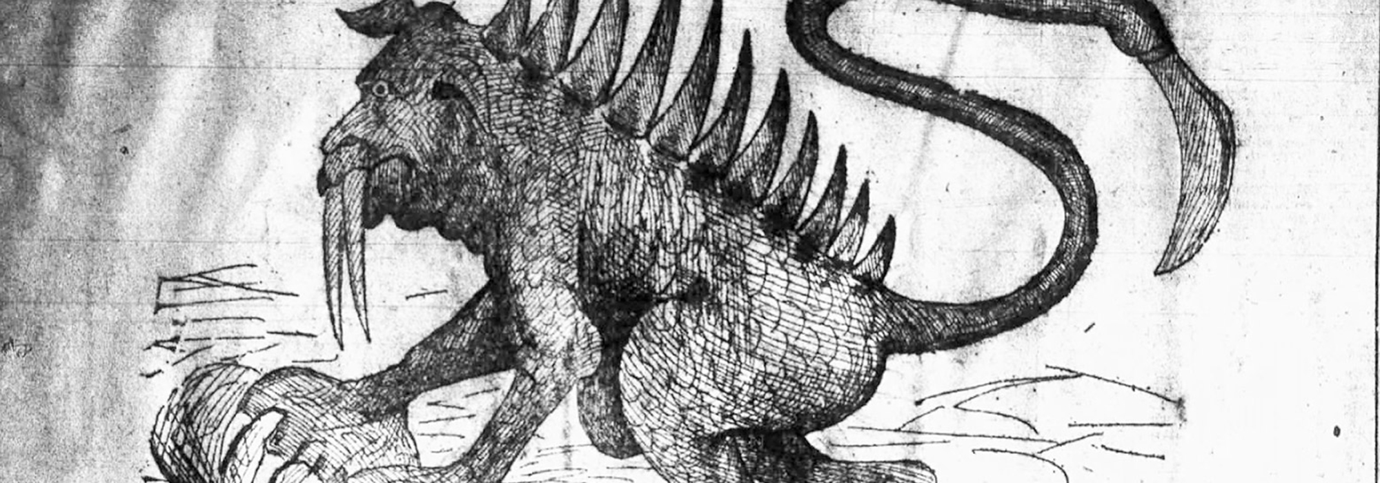 a cryptozoological creature illustration
