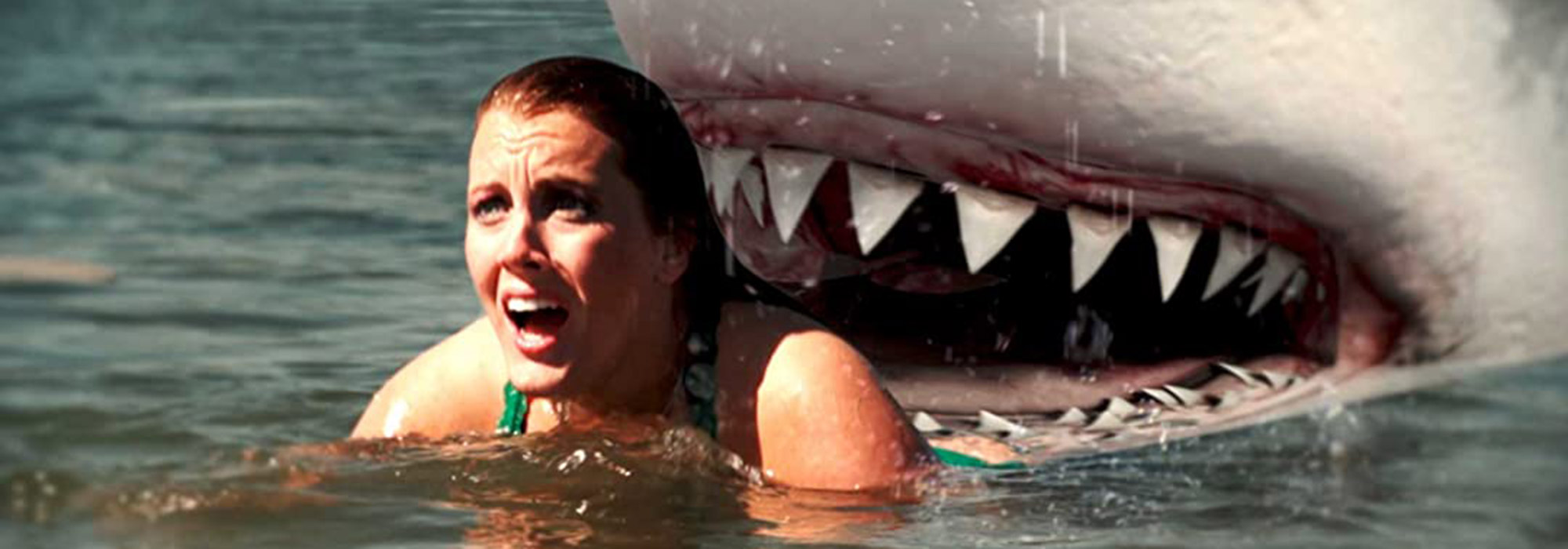 a still from jurassic shark