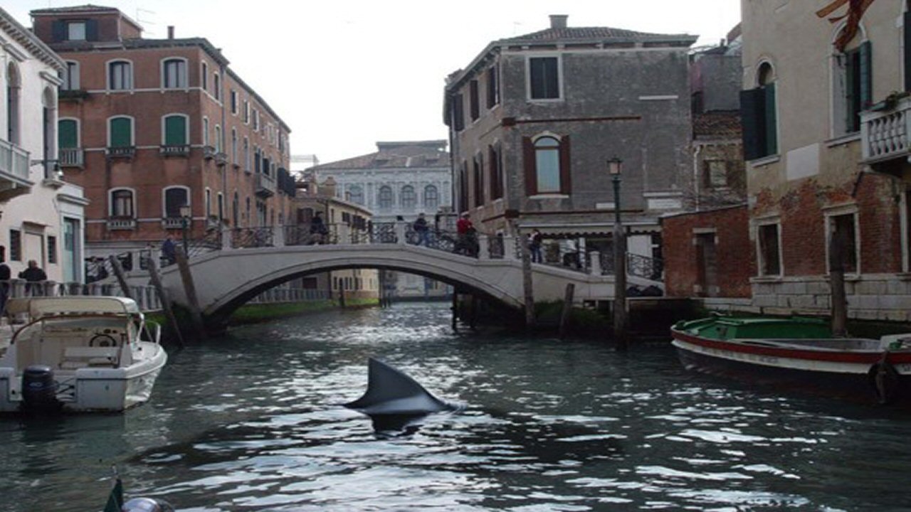 still from sharks in venice