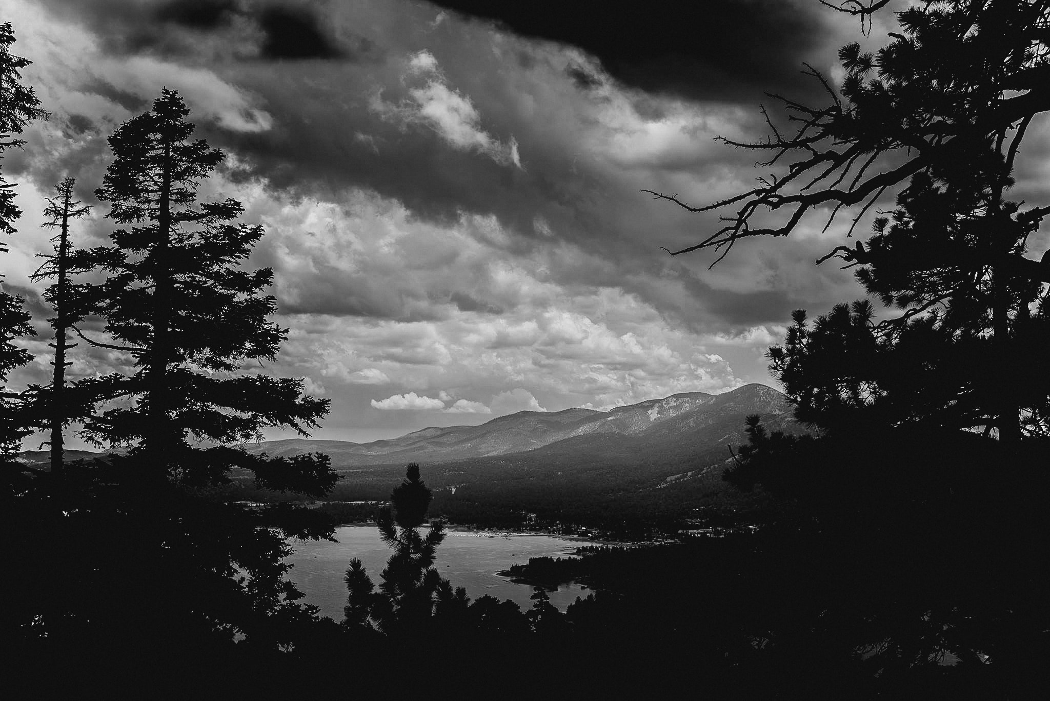 black and white landscape