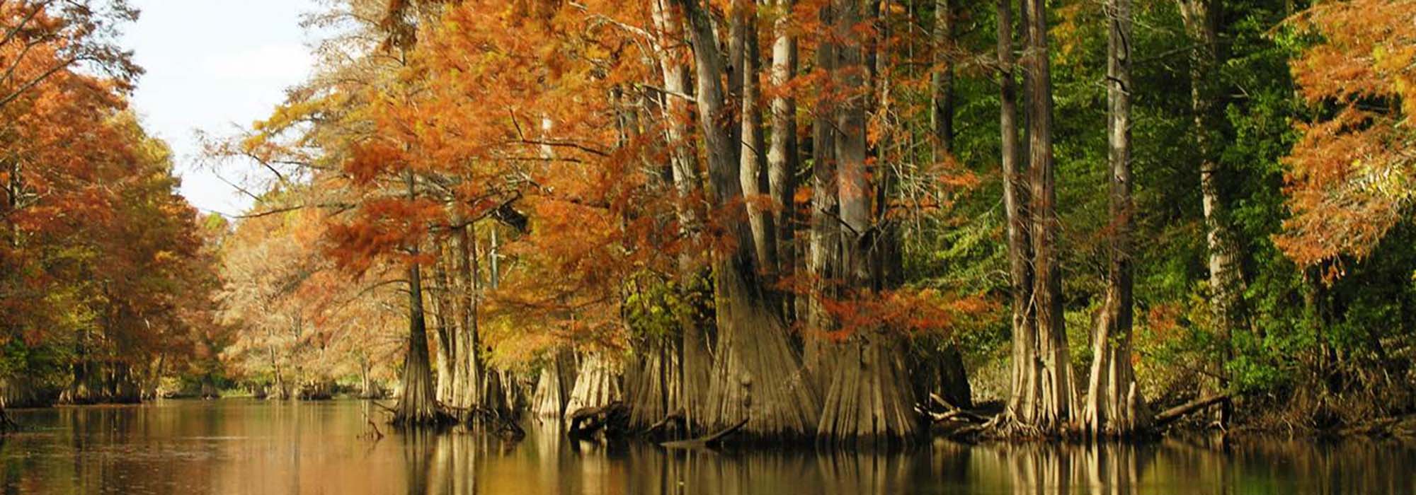 a photo of Fourche Creek in the fall