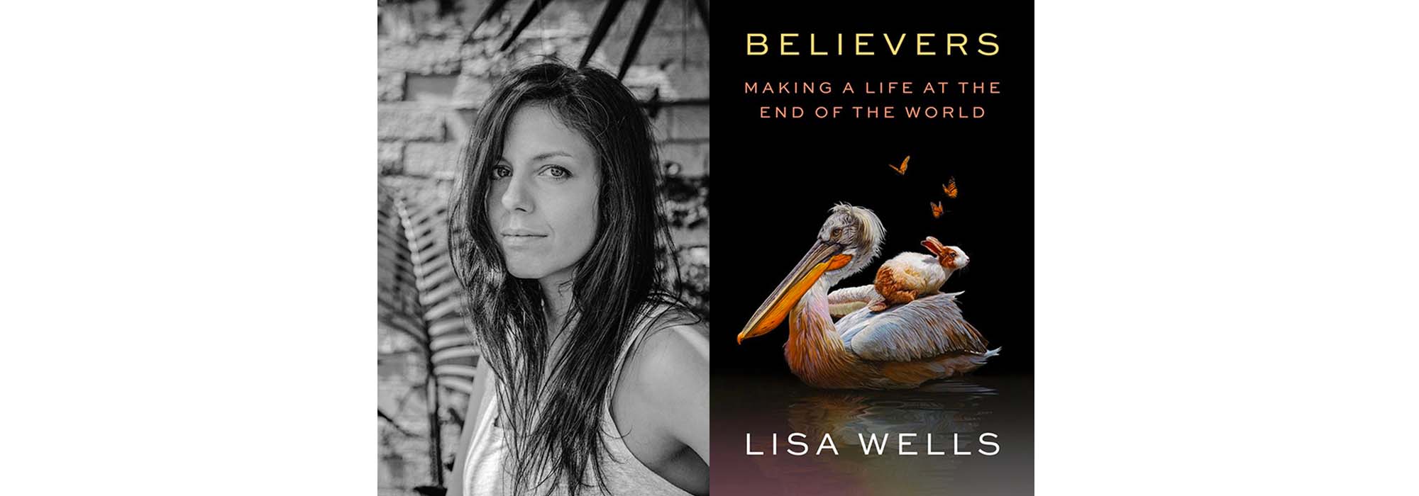 lisa wells and her book cover