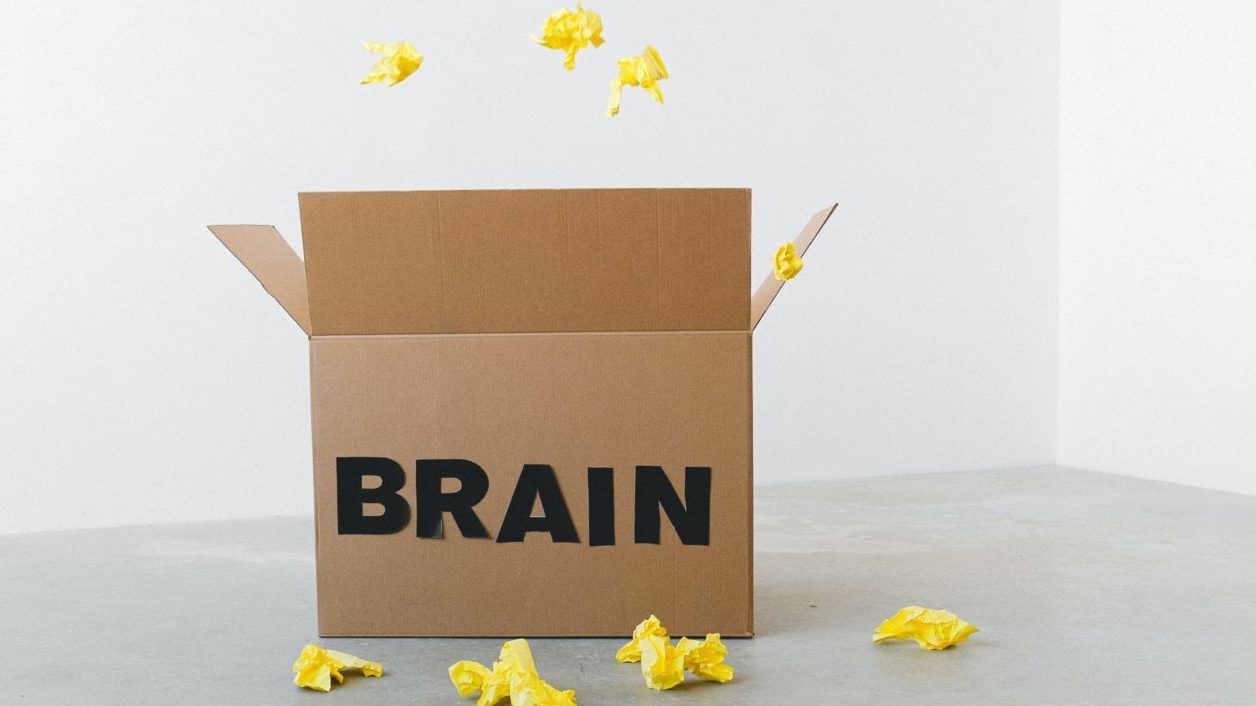 cardboard box labeled "brain" with yellow crumpled up paper all around it