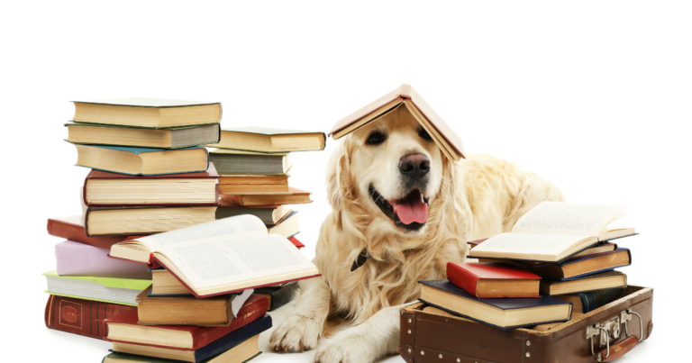 Dog reading books