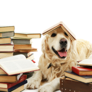 dog laying with books