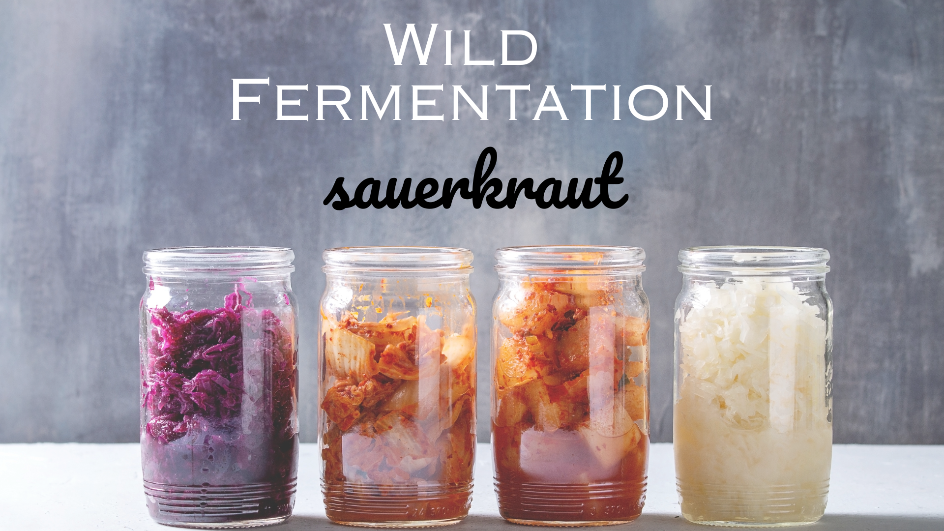 four jars of sauerkraut with a gray background